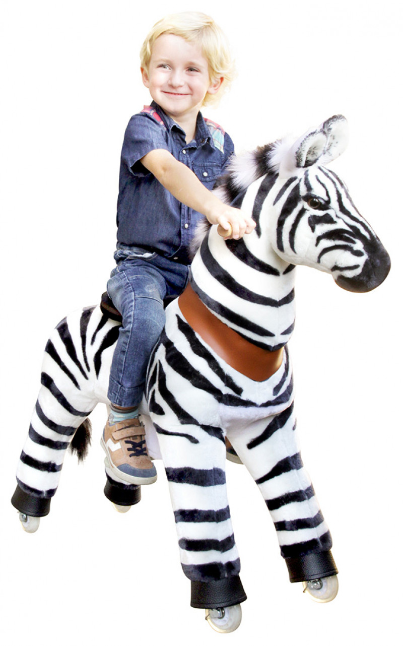 ponycycle zebra